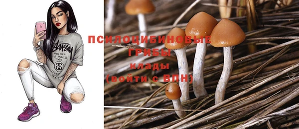MESCALINE Арсеньев